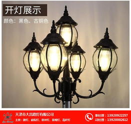 山西庭院灯采购 庭院灯 大昌路灯