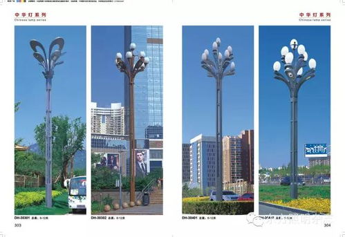 中山市新奇特灯具厂 景观照明 户外照明优质供应商