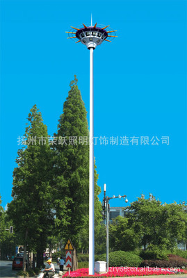 【614 荣跃品牌销售 高杆灯/路灯杆投射灯/灯杆 自定灯座】价格,厂家,图片,高杆灯,扬州市荣跃照明灯饰制造-