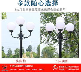邢台欧式庭院灯 天津市大昌路灯公司 欧式庭院灯报价