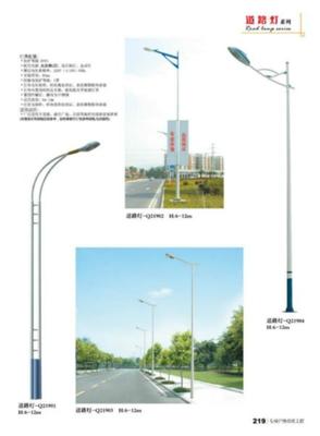 路灯图片|路灯样板图|来宾路灯-韶关金星照明工程