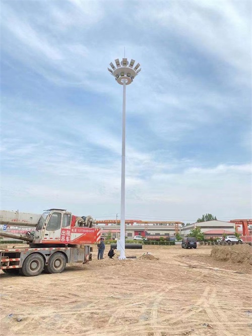 河北高杆灯生产厂家 天光灯具户外高杆灯价格,电话,图片